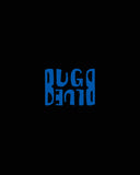 BUG BLUE skateboard shoes